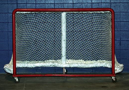 Heritage Classic Official Game Used Goal Net #1