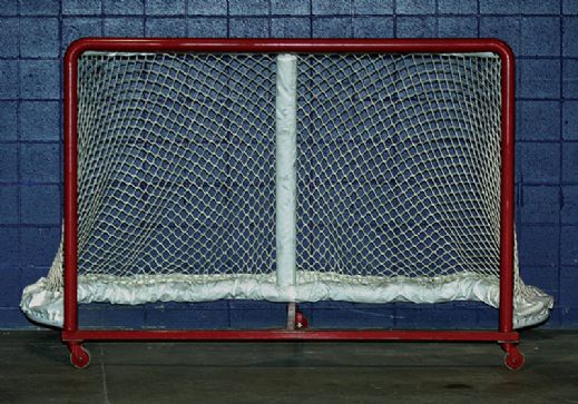 Heritage Classic Official Game Used Goal Net #2