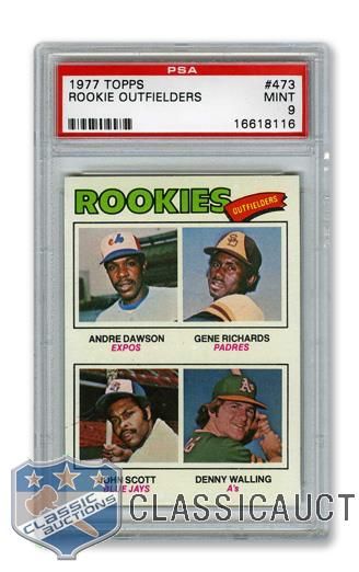 1977 Topps #473 HOFer Andre Dawson RC - Graded PSA 9