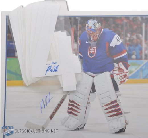 Jaroslav Halak Team Slovakia Autographed 16x20 Framed Photo and Jersey Numbers (10)