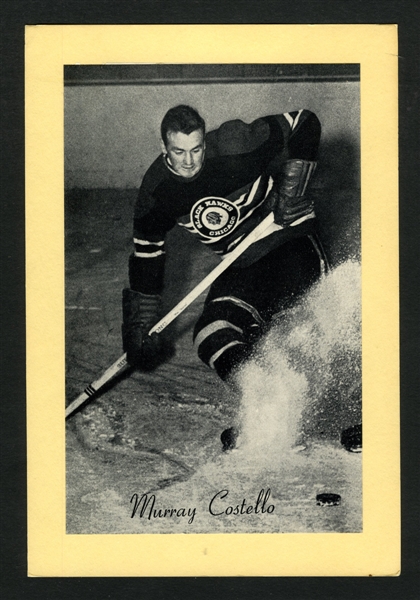 Murray Costello Chicago Black Hawks Bee Hive Group 2 Photo (1945-64)